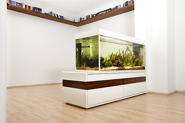 Raumteiler Nemo
